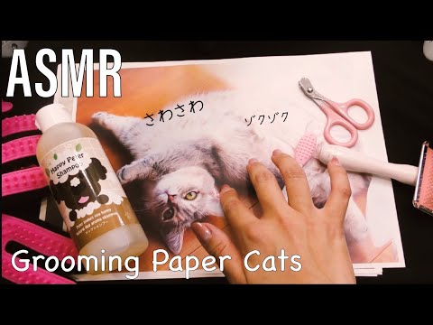 ASMR ゾクゾクする音。紙の猫ちゃんを愛情いっぱいにお手入れします。｜Lovely Grooming Paper Cats Tingling Sounds
