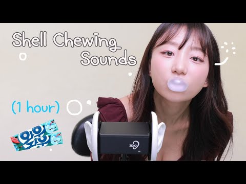 ASMR ⚡️ 1HOUR! Shell Chewing Sounds 💦 팅글! 껌 씹는 소리 1시간! 🌼