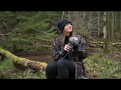 ASMR - Reset in the forest with me🌲