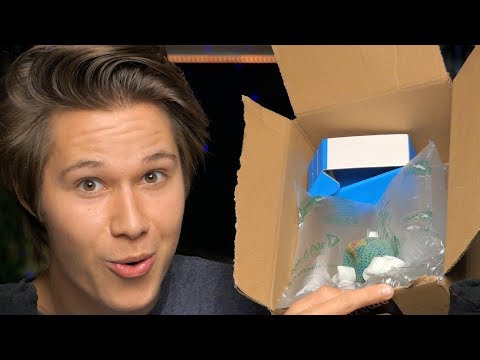 [ASMR] Package Tingle Party (bubble wrap, packing peanuts, sticky tape)