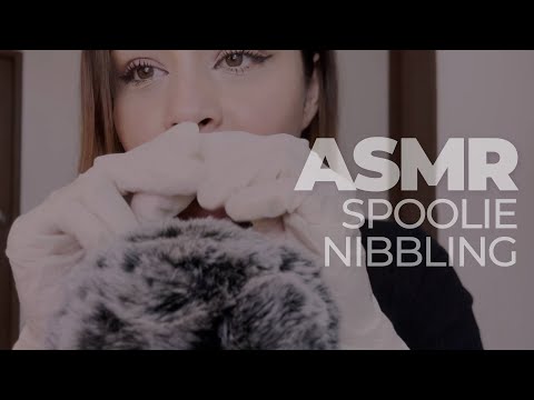 ASMR | Spoolie Nibbling + spit painting (no talking)