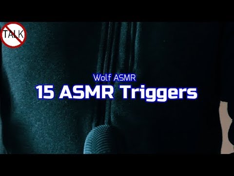 ASMR: 15 Triggers / Tapping Sounds / Crinkle Sounds / Breathing Sounds / No Talking / Wolf ASMR