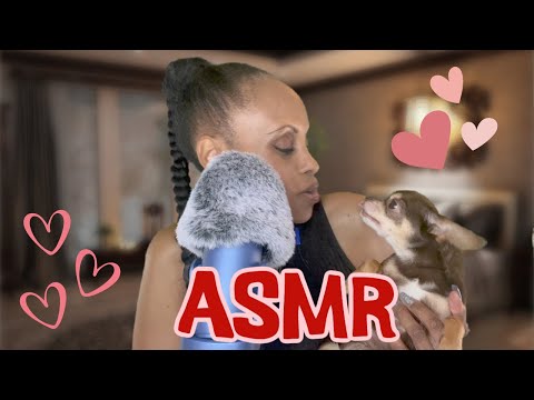 ASMR With Puppy for 100% Sleep 🐕💗