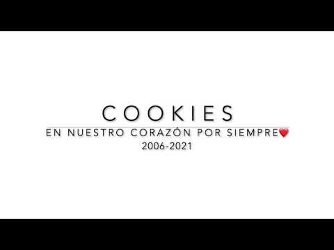 A Tribute to Cookies 🐕‍🦺❤️🍪 Forever In Our Hearts