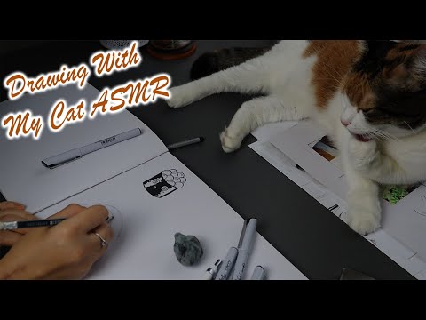 ASMR Drawing with my Cat *no talking*