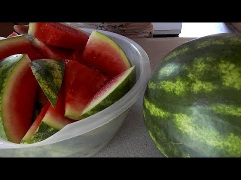 ASMR with a Watermelon - Tapping, Cutting, + More (NO TALKING)