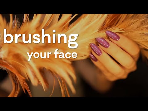 ASMR | Brushing Your Face * The Perfect Visuals to Sleep