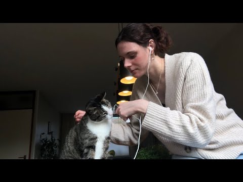 ASMR with my cats: eating sounds, purring