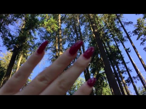asmr in the woods