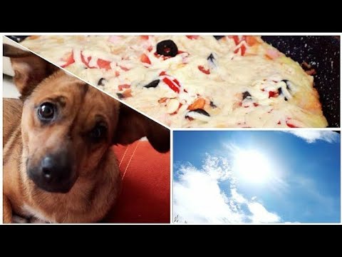 [ASMR] Making Pizza For Breakfast 🍕Lady Ate My Shirt ~ ASMR Cooking Vlog I Quarantine Diaries Ep. 1