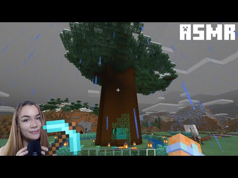 ASMR Rainy Minecraft Tree House Tour | Whispered | Lily G ASMR
