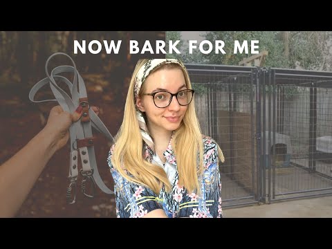 How to become a slave DOG 🐕