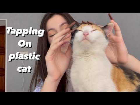 Asmr tapping on plastic cat 🐱#2