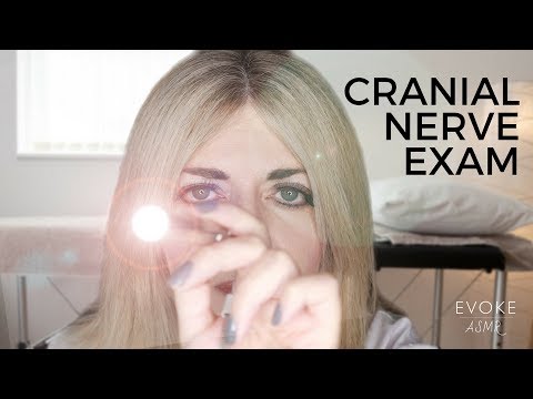 ASMR Cranial Nerve Exam | Personal Attention, Whispering, Follow the Light, Latex Gloves