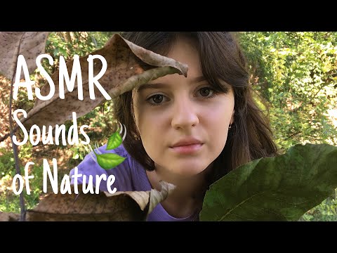 АСМР 🌳 Звуки Природы || ASMR Sounds of Nature 🍃