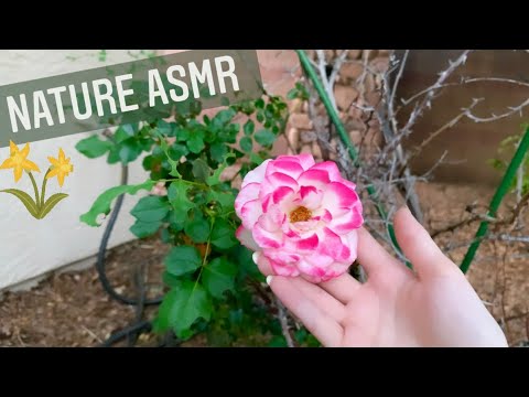 ASMR Nature Sounds 🌷🐝🌲 *relaxing*