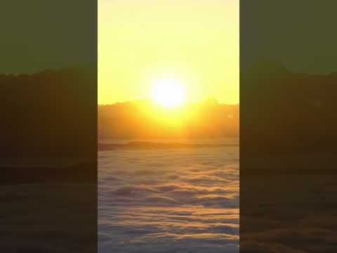 ASMR Beautiful Morning Sunrise Relaxing Music Nature Sounds #asmr #asmrshorts #asmrshortsvideo