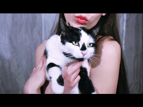 ASMR Cat Purring Sound Therapy  BINAURAL 3DIO (No Talking) 😻