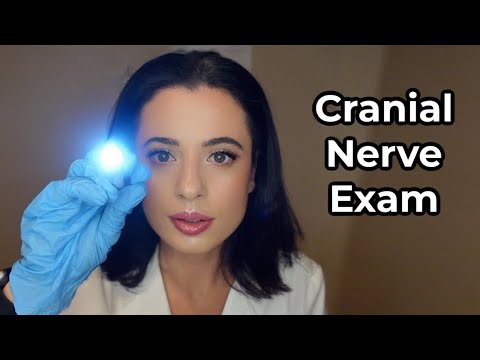 ASMR My First Cranial Nerve Exam | Soft Spoken Medical Exam Roleplay