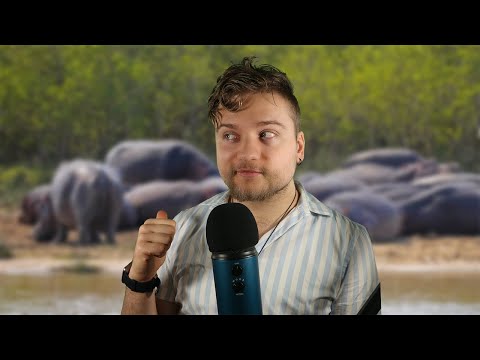 Whispering facts about Hippopotamuses (ASMR) part 3