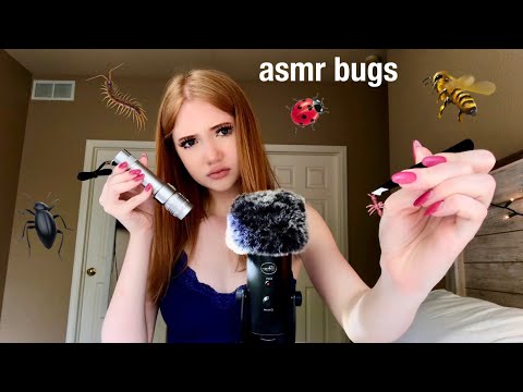 asmr plucking bugs