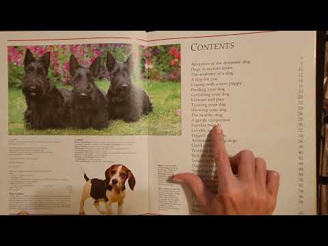 ASMR | Dogs! Looking at Dog Pictures & Reading (Soft Spoken)