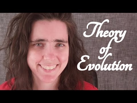 *Whisper* ASMR Theory of Evolution ☀365 Days of ASMR☀