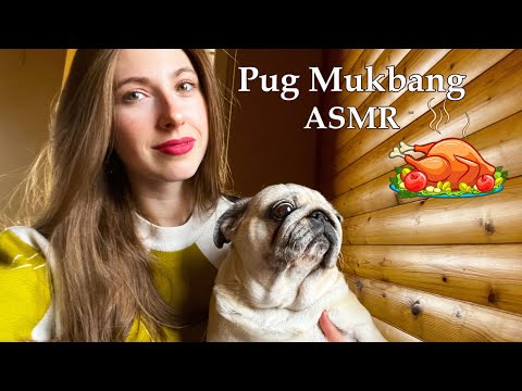 Pug Mukbang ASMR 🐶🥩🤤 Eating Mouth Sounds