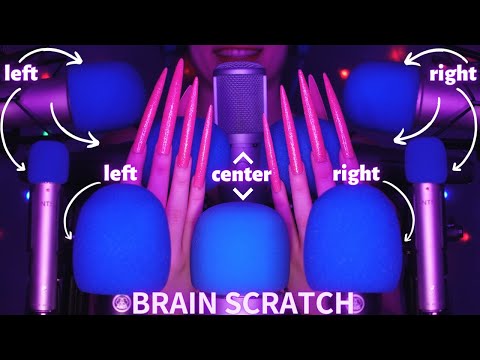 Asmr Mic Scratching - Brain Scratching with 10 Mics and Claws | Asmr No Talking for Sleep 1H