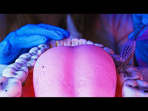 Asmr LIMPIEZA DE DIENTES, ROLEPLAY ODONTOLOGO | ASMR Español | Asmr with Sasha