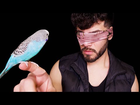 ASMR - Bird Box Role Play (Male Whisper)