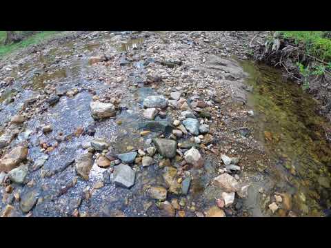ASMR Hiking Binaural Springtime Hike, Birds Chirping, Running Creek (Part 1)