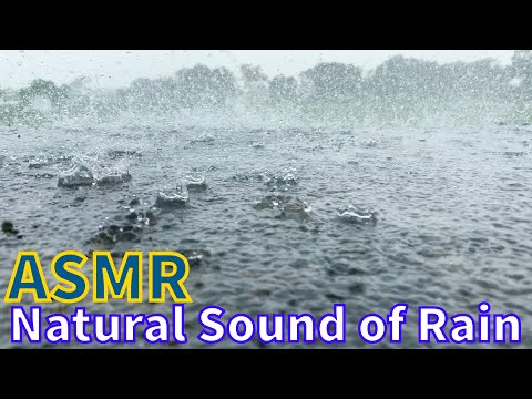 ASMR NATURAL RAIN SOUNDS | ASMRYOGI2