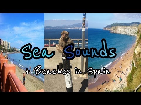 ASMR NATURE SOUNDS Soothing Sea Sounds for Sleep/Relaxation/Meditation 🏖️🌊 | Binaural