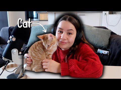 [ASMR] WITH CATS 🐱🐈 | Schnurren & Eating Sounds | ASMR Marlife