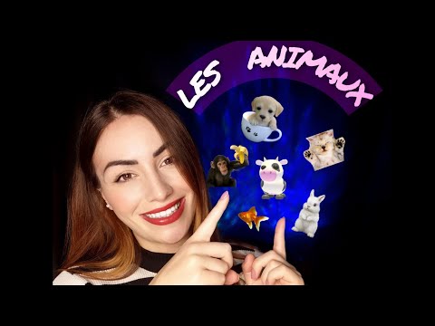 Learn French With Me - Animals 🐶 ASMR Whispered Lesson with Rain Sounds 🌧️