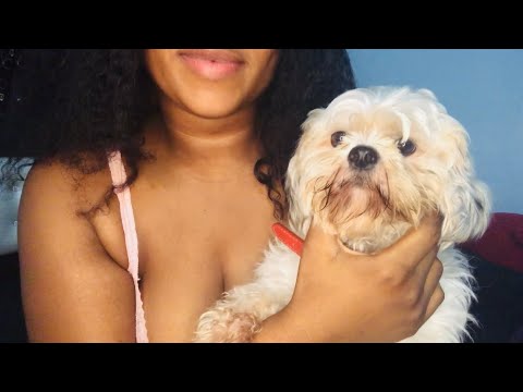 Petting my puppy 🐶 Asmr sounds
