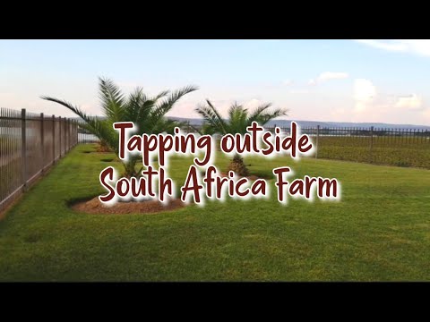 ASMR on a South African farm - lofi tapping and scratching