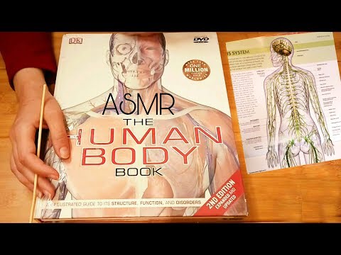 Fascinating Exploration of Nerves Head to Toe ASMR