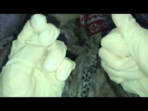 ASMR Latex Gloves! Very relaxing sounds 😍 No Talking