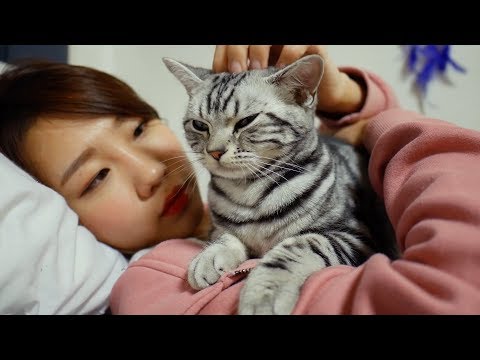 [ASMR] 심신 안정에 좋은 고양이 골골송 | 아메숏 ASMR | 후추 어렸을때 영상