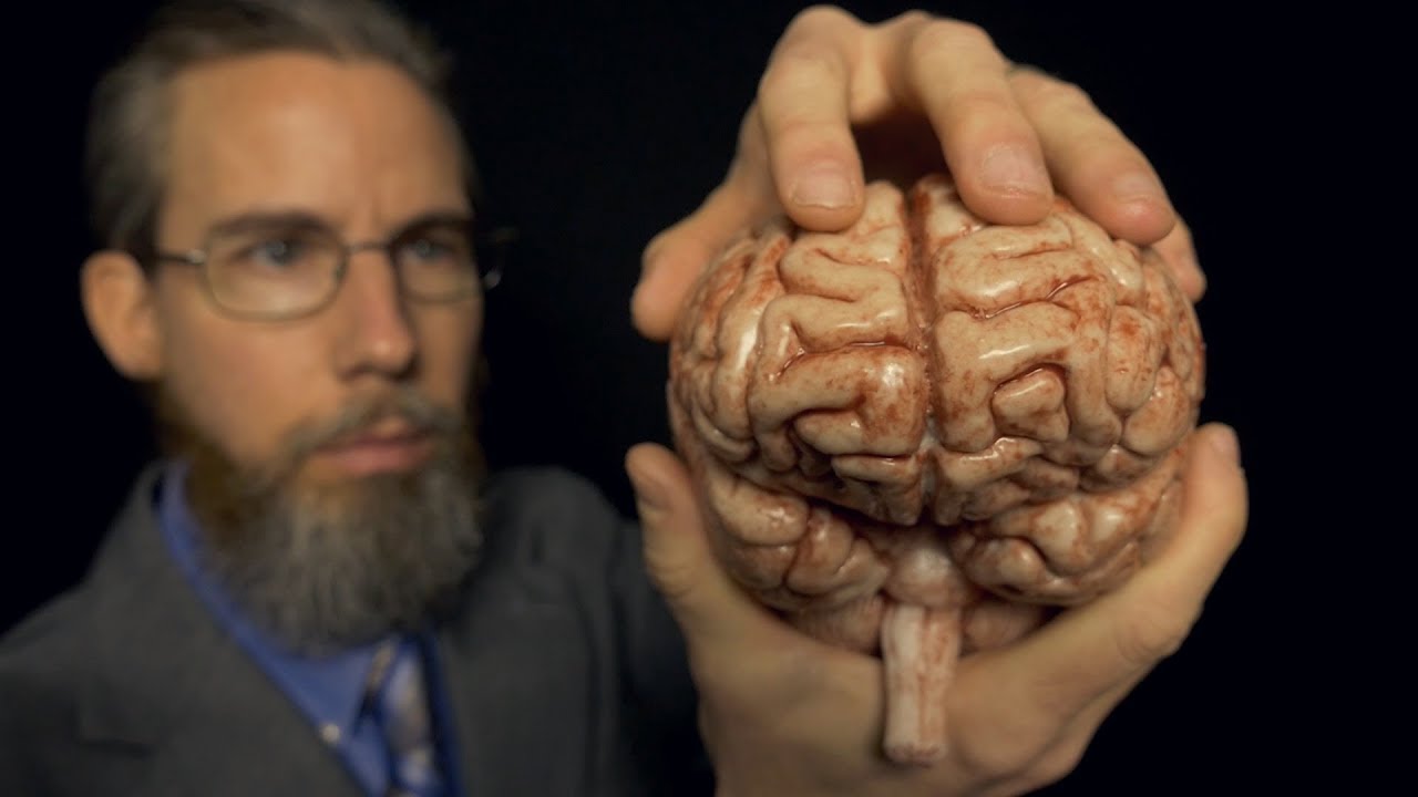 Massaging Your Brain (with Professor Clemmons) | ASMR