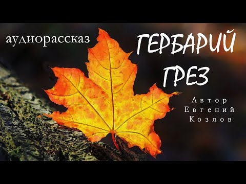 Гербарий грез / Аудиорассказ / Автор Евгений Козлов