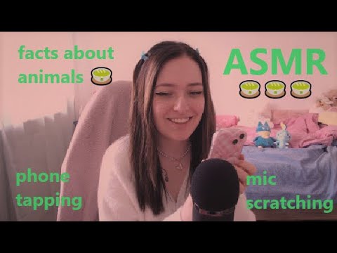 ASMR Whispering Unusual Facts about Animals 🐸 ( + Phone Tapping, Microphone Scratching )