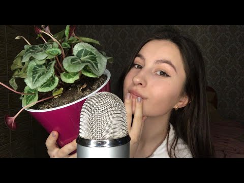 ASMR 60 TRIGGERS IN 60 SECONDS