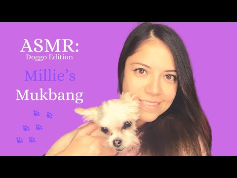 ASMR MUKBANG | 🐶 DOGGO EDITION | Millie's Mukbang