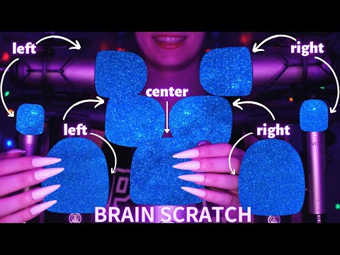 Asmr Mic Scratching - Brain Scratching with 9 Mics | Asmr No Talking for Sleep with Long Nails 1H