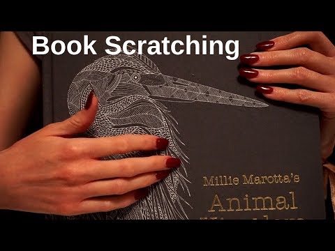 ASMR Deep Scratching on Books [No Talking]