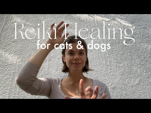 Reiki for your pet / Energy healing for your animal #lightlanguage #reikiforpets