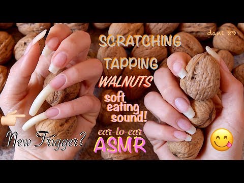 ↬ it's a NEW TRIGGER for You? ↫ 🎧 intense ASMR: TAPPING + SCRATCHING + soft eating sound: WALNUTS! 💤